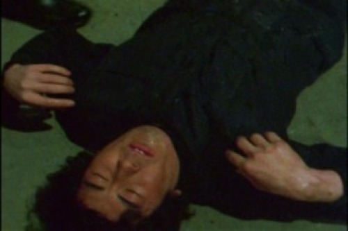 PDVD_045.jpg