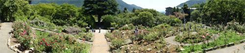 箱根37.jpg