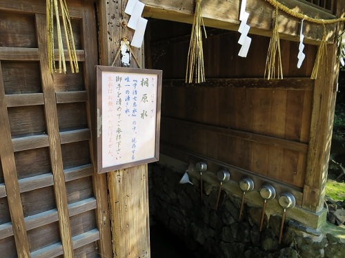 神社6宇治上神社.jpg