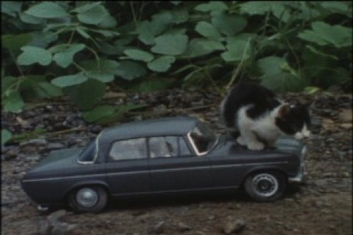 PDVD_078.jpg