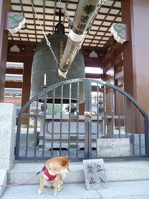 お寺２(V.2012_04_05__06_47_05).jpg