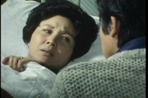 PDVD_011.jpg