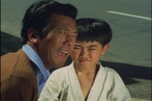 PDVD_003.jpg