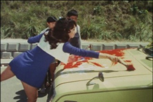 PDVD_005.jpg