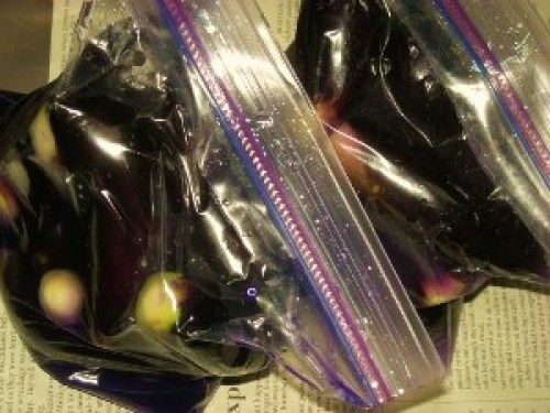 DSCN8860 (300x225).jpg