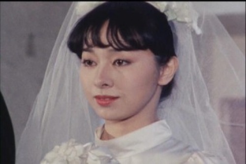 PDVD_003.jpg