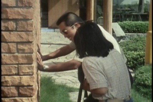 PDVD_029.jpg