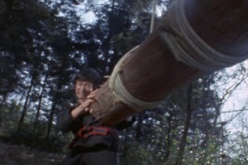 PDVD_014.jpg