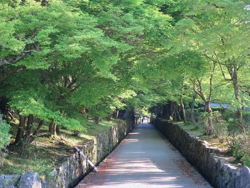 神社14興聖寺.jpg