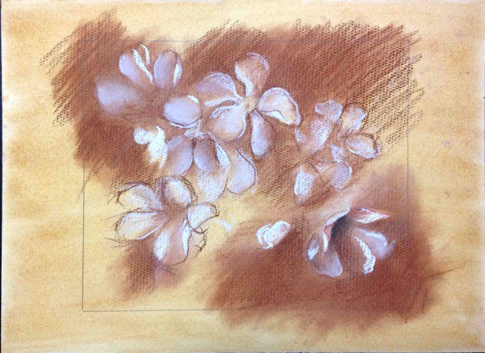 花のパステル画宙花 パステル画 植物と地球 A4サイズ宙花