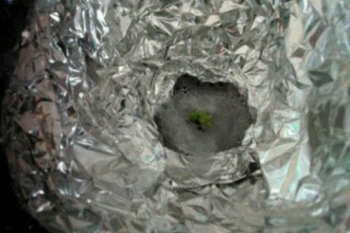 2016-11-21 9-56-19.jpg