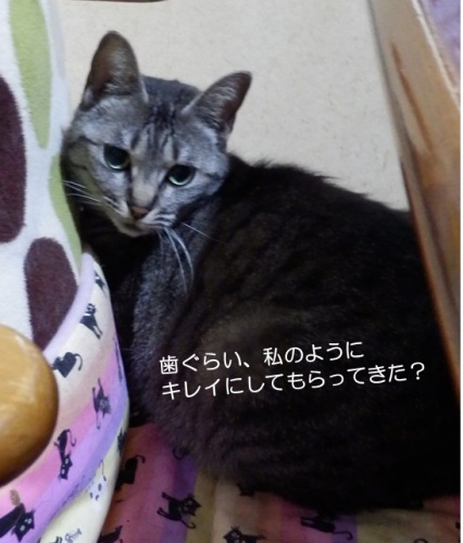 20150528_2.jpg