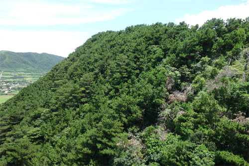 石垣190.jpg