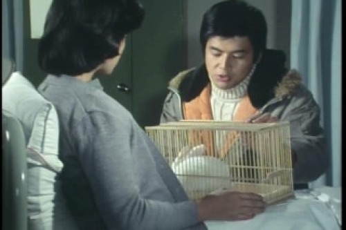 PDVD_041.jpg