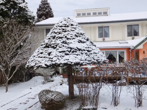 雪　2.jpg
