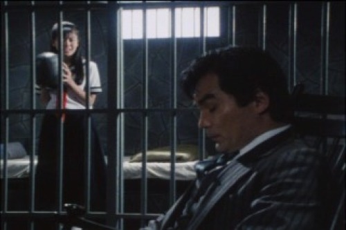 PDVD_003.jpg
