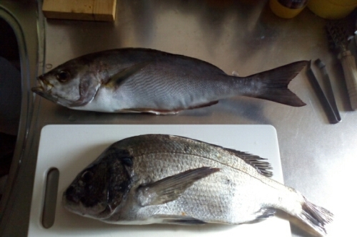 2016-07-26 16-33-28.jpg