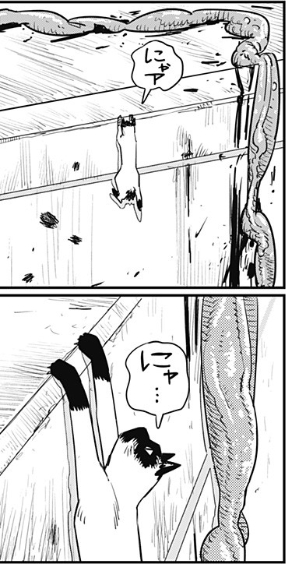 猫はどうやってここに