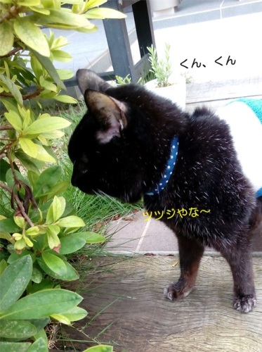 20150821_2.jpg