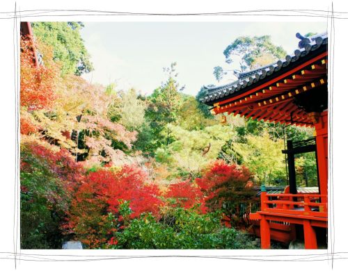 京都　毘沙門堂　紅葉