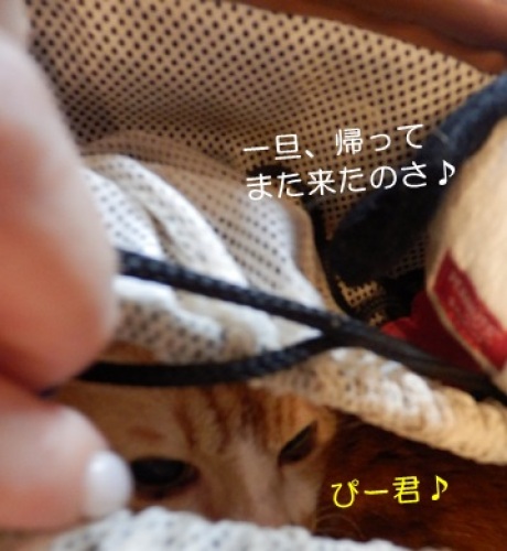 20141006_3.jpg