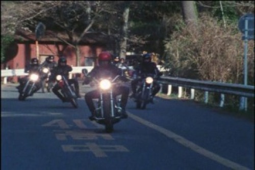 PDVD_061.jpg