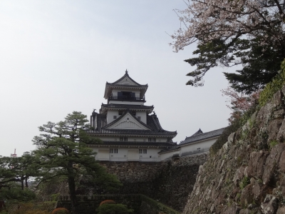 DSC00422.jpg