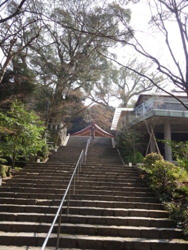 竈門神社春 ブログ用 (6).JPG