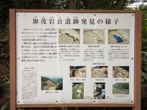IMGP3599.jpg