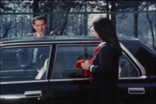 PDVD_308.jpg
