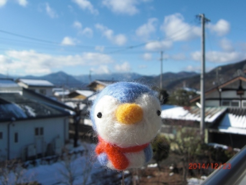 CIMG7408 (640x480).jpg