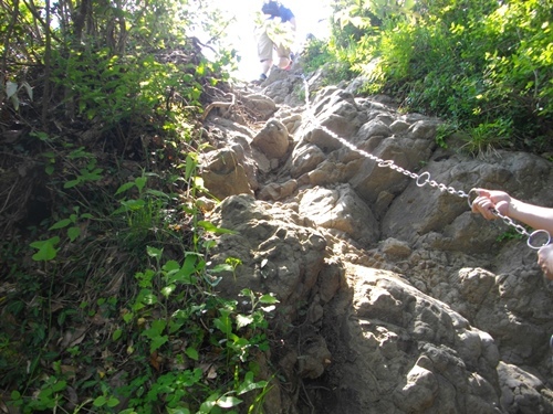 伊予ヶ岳登山道 (6).JPG