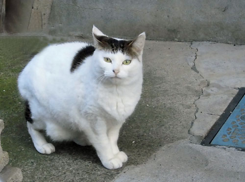 19.jpg