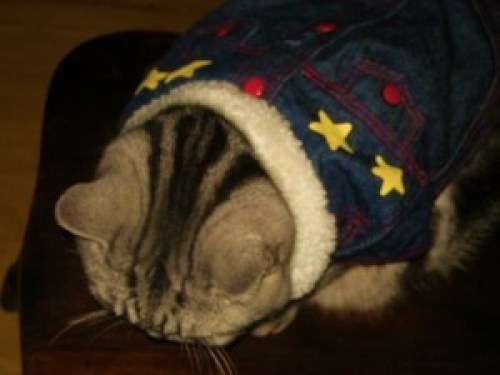 DSCN1766 (300x225).jpg