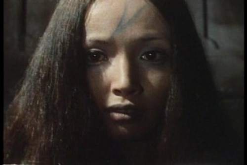 PDVD_027.jpg