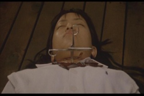 PDVD_001.jpg