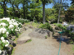箱根41.jpg