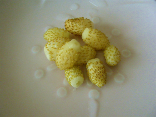 DSCF8261.jpg