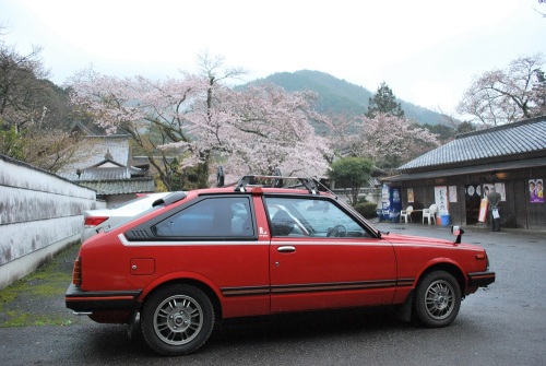 毘沙門堂駐車場.jpg