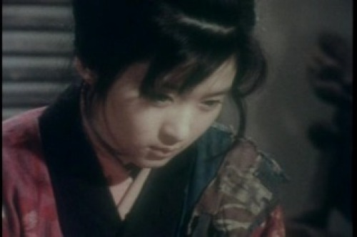 PDVD_022.jpg