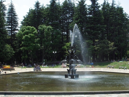 世田谷公園の噴水