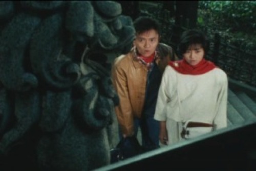 PDVD_015.jpg