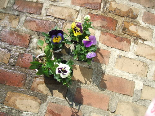 DSCF2122.JPG