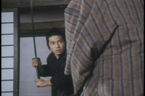 PDVD_003.jpg
