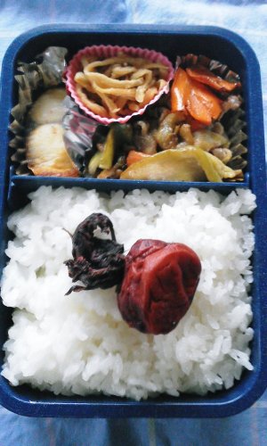 塩さば弁当.jpg