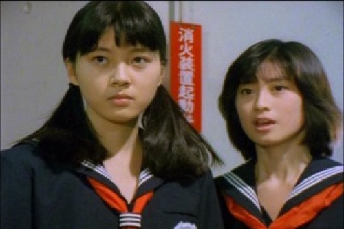 PDVD_213.jpg