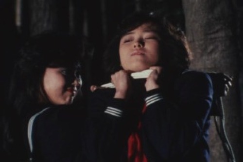 PDVD_018.jpg