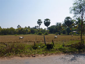 アンコール336.jpg