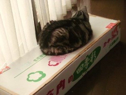 DSCN5914 (300x225).jpg