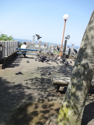 猿田彦神社 愛宕神社 ブログ用  (15).JPG